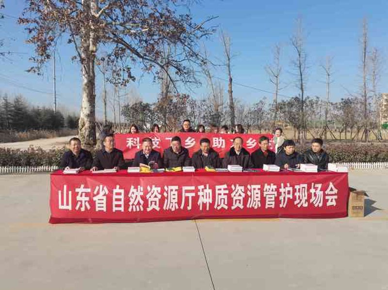 单县网站建设